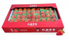 紅顏草莓1kg禮盒裝